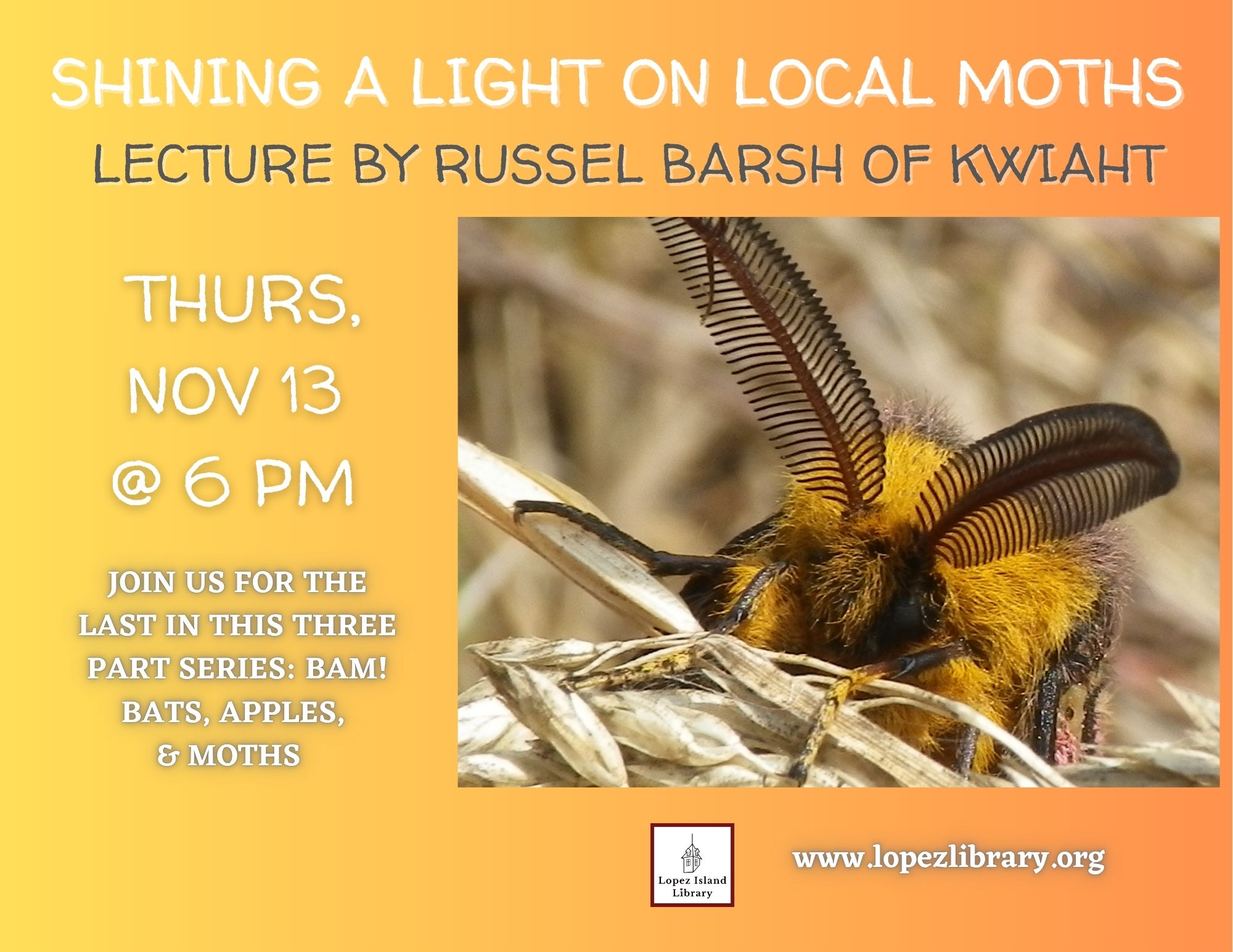Shining a Light on Local Moths Lecture, 11/13 – Lopez Island Library